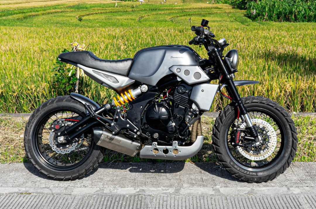 Kawasaki ER6N / Scrambler