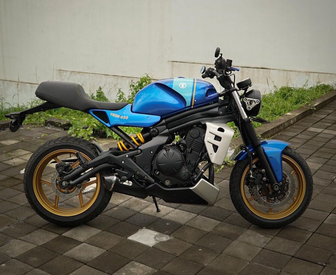 Kawasaki ER6N / XSR900